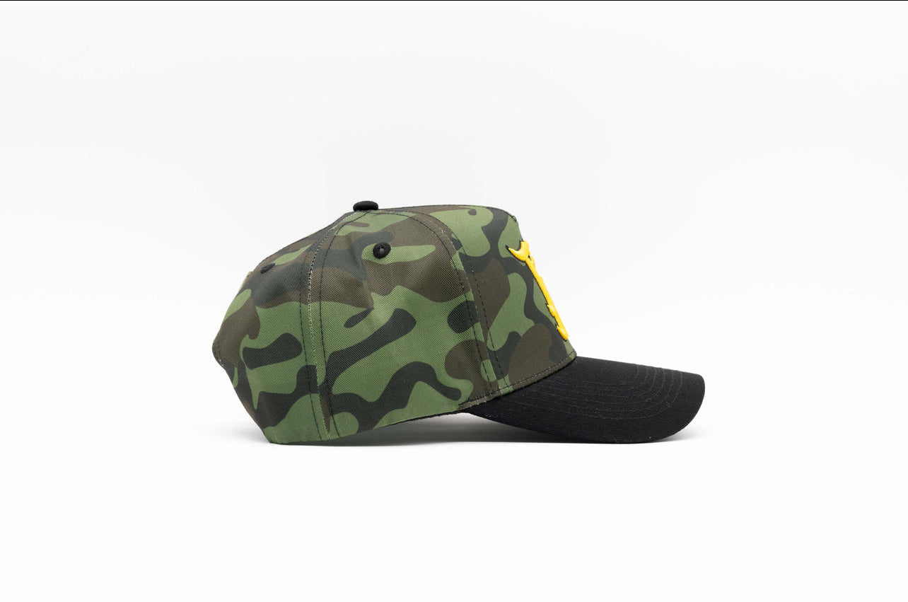 AGUACATEROS CAMO