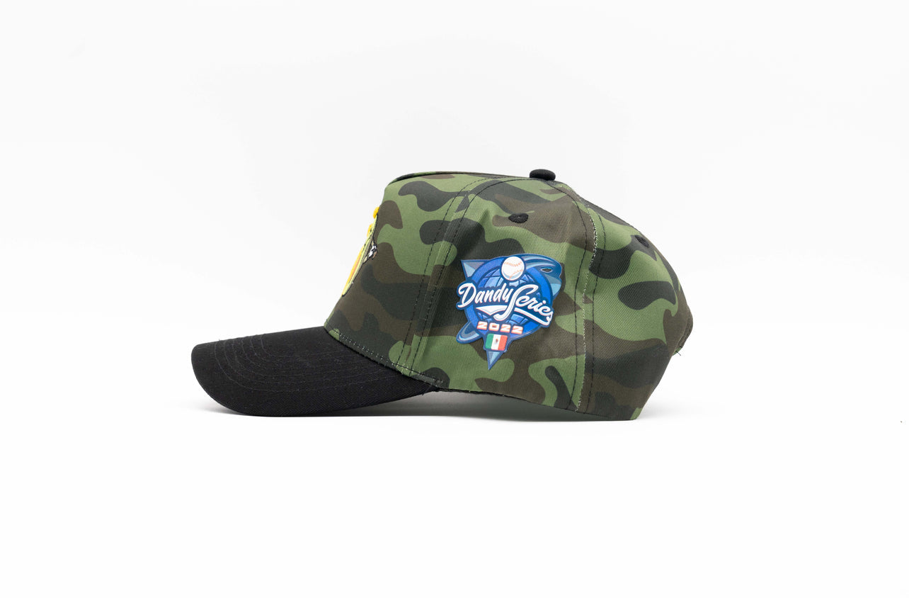 AGUACATEROS CAMO